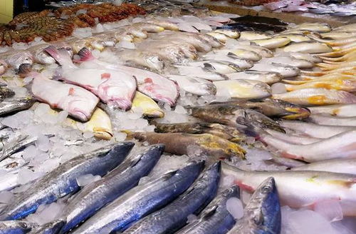 鯉魚價格翻倍，鯽魚上漲50%，草魚漲破10元 水產品市場咋回事？