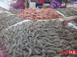 石家莊年貨市場水產(chǎn)品價(jià)格平穩(wěn)，鮑魚海參大方吃