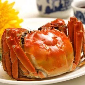 探秘水產(chǎn)業(yè)新星 青蝦、甲魚、小龍蝦、黑魚、河蟹與跑道魚的現(xiàn)狀與未來