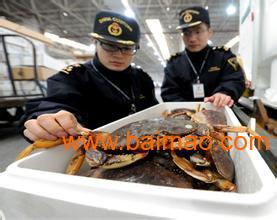 青島進口水產品報關流程與要點全解析