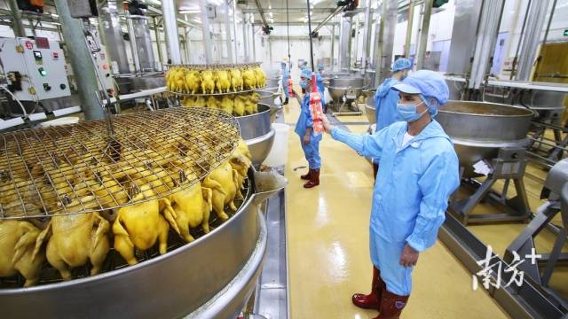廣東縣域“食力”新版圖 舌尖上的水產(chǎn)品如何更有滋味？